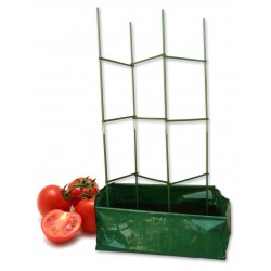 Kit à planter tomates