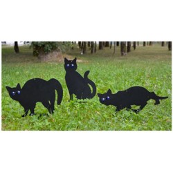 3 chats noirs effaroucheurs